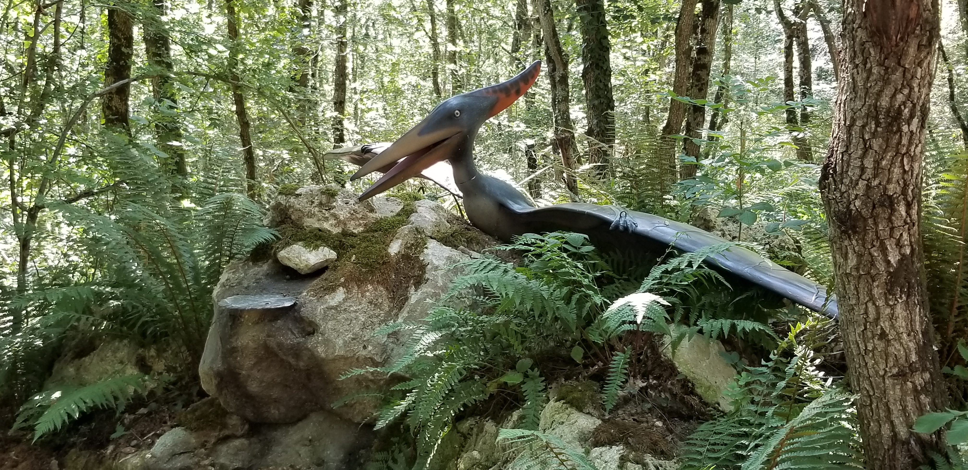 Photo n° 13 de l'avis de Laurent.u fait le 06/08/2018 à 17:07