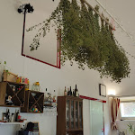 Photo n°12 de l'avis de Mauro.o fait le 30/04/2023 à 18:28 sur le  Locanda della Fattora à Pian dei Mucini