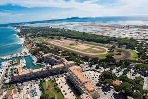 Racecourse of Hyères Palm trees beach image