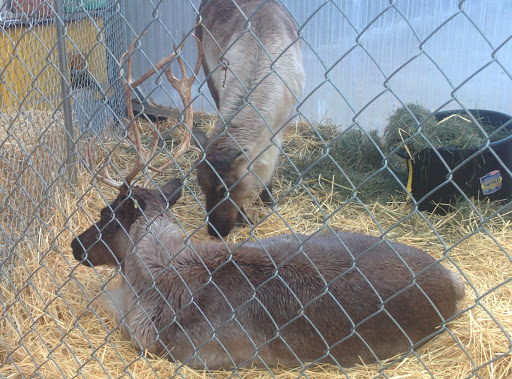 Grocery Store «Adams Fairacre Farms», reviews and photos, 160 Old Post Rd, Wappingers Falls, NY 12590, USA