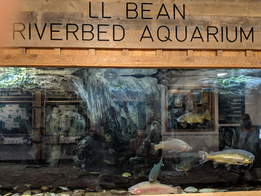 Clothing Store «L.L. Bean», reviews and photos, 95 Main St, Freeport, ME 04032, USA