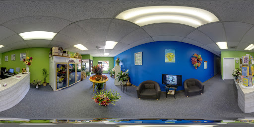 Florist «Xpressions Florist», reviews and photos, 14373 Blanco Rd, San Antonio, TX 78216, USA