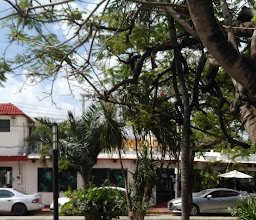 Cocina Economica la \