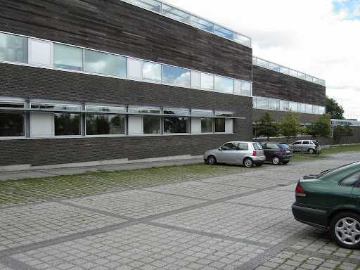 Jesper Trip Vinduespolering