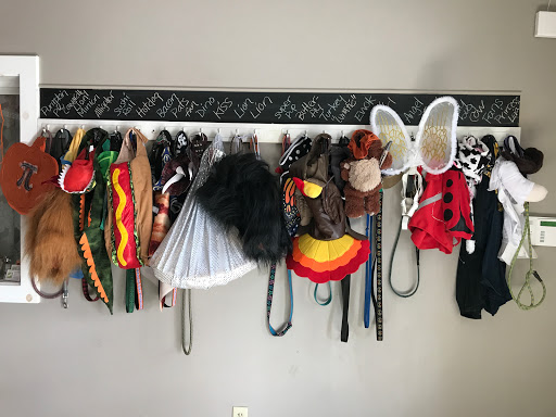 Pet Supply Store «Willow Farm Pet Services», reviews and photos, 21 VT-106, North Springfield, VT 05150, USA