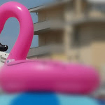 Photo n°7 de l'avis de Raffaella.i fait le 26/07/2018 à 11:19 sur le  Plage Paradiso à Lido di Savio