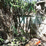 Photo n° 2 de l'avis de Allan.e fait le 30/09/2019 à 17:38 pour Zoo d'Asson à Asson