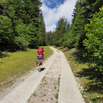 Photo n°3 de l'avis de Filippo.a fait le 06/07/2020 à 19:10 sur le  Rifugio La Montanara Tovre Plateau Molveno à Molveno