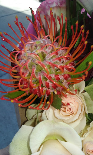 Florist «Rainbow Flowers», reviews and photos, 1070 University Ave, San Diego, CA 92103, USA