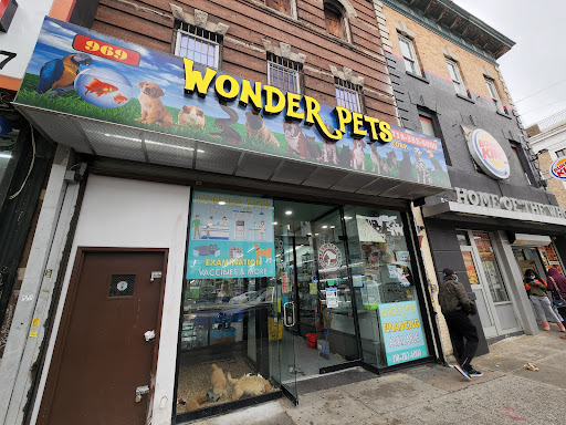 Photo of Wonder Pets corp