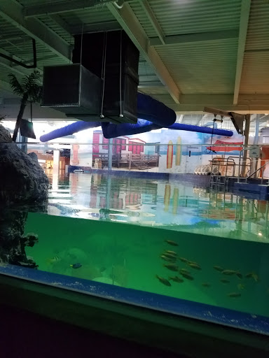 Tourist Attraction «OdySea Mirror Maze», reviews and photos, 9500 East Vía de Ventura #200, Scottsdale, AZ 85256, USA