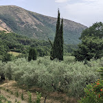 Photo n°1 de l'avis de Camillo.s fait le 04/06/2022 à 21:33 sur le  Agriturismo Le Campestre à Castel di Sasso