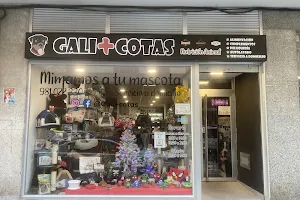 Gali+cotas image