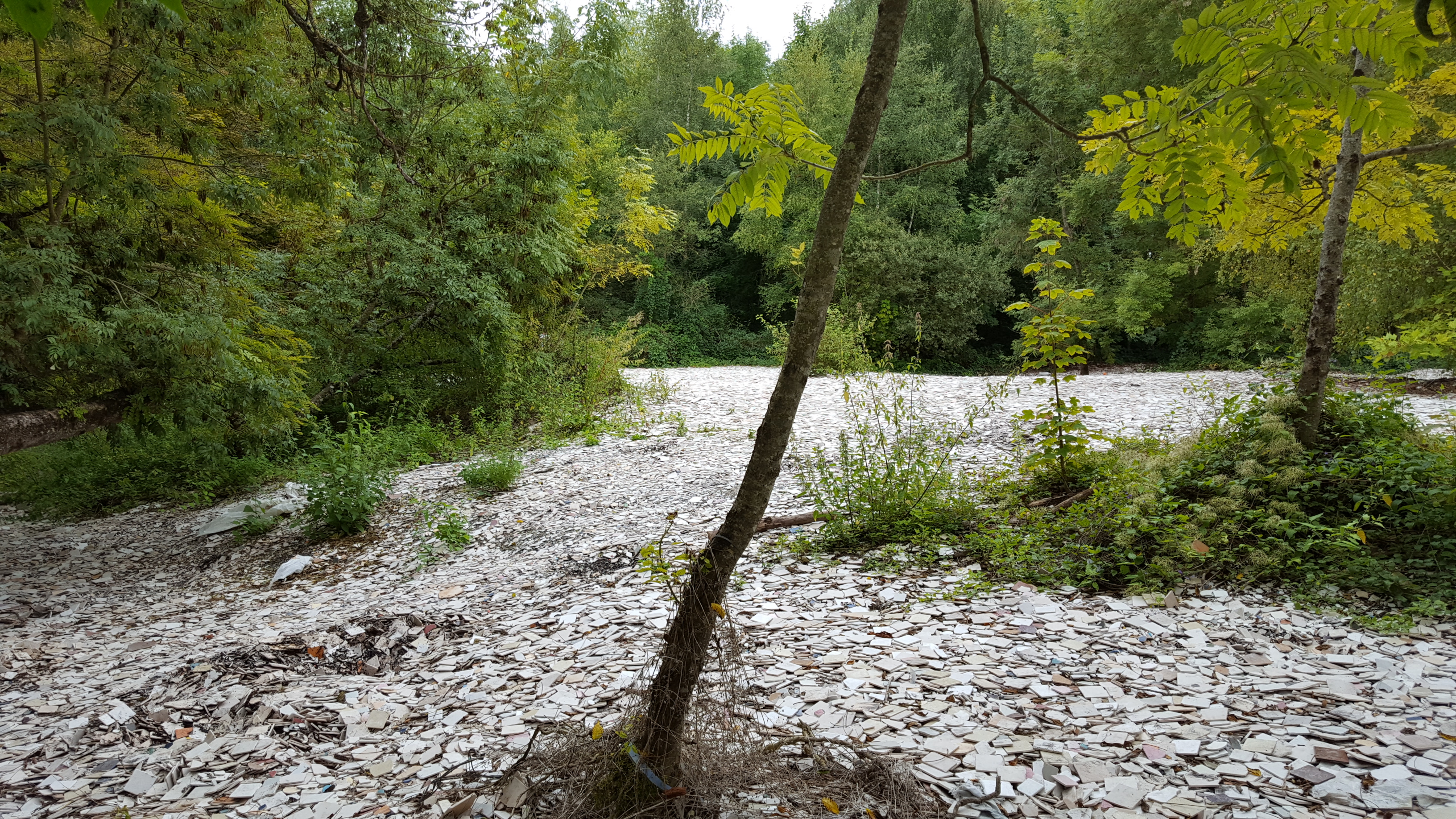 Photo n° 1 de l'avis de guenièvre.o fait le 08/09/2017 à 06:46