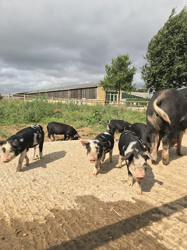 Reviews of Todenham Manor Farm in Coventry - Butcher shop
