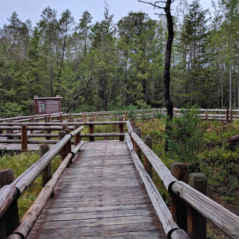 Darlingtonia State Natural Site