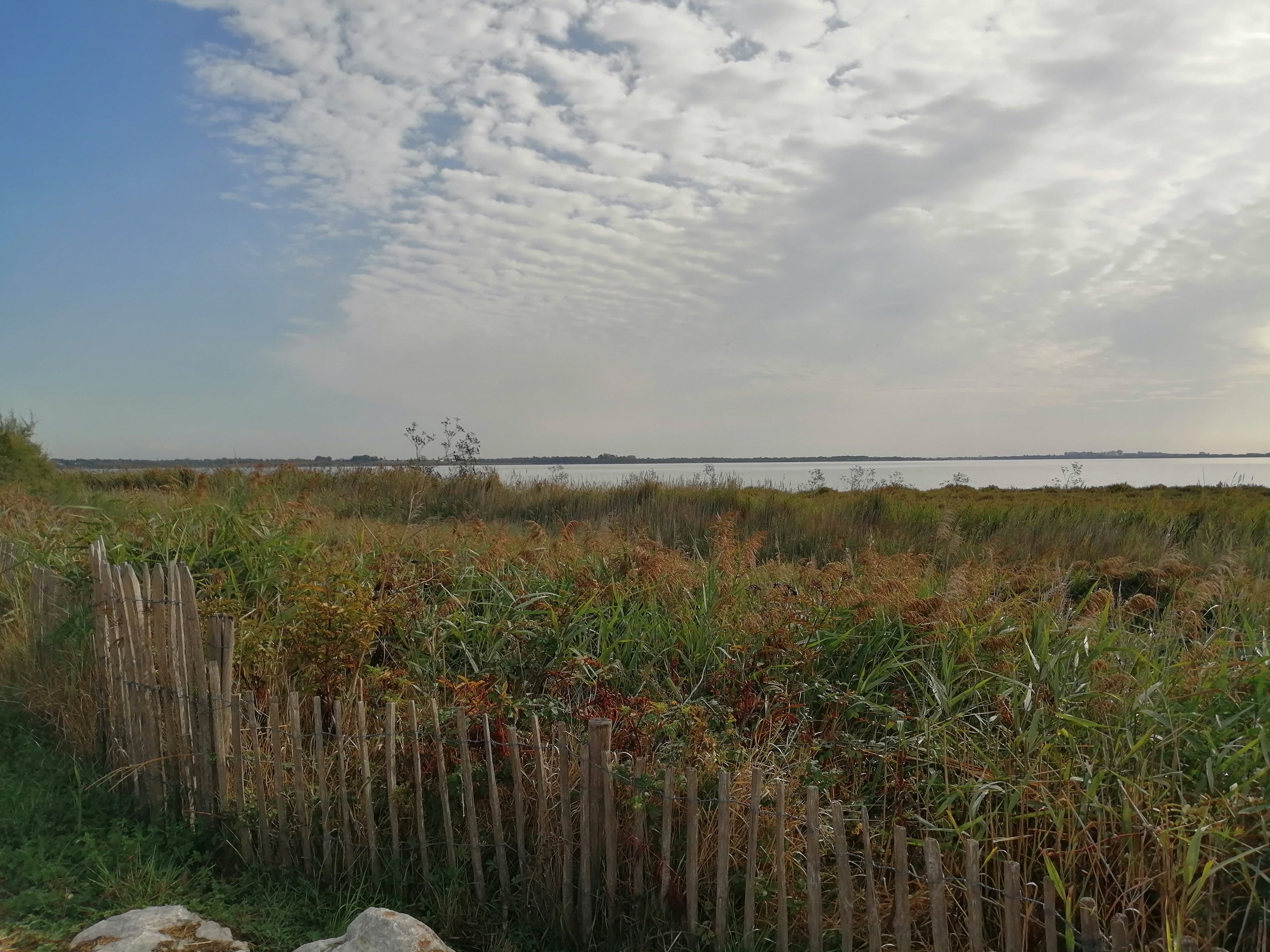 Photo n° 2 de l'avis de Calista.k fait le 23/09/2019 à 15:01