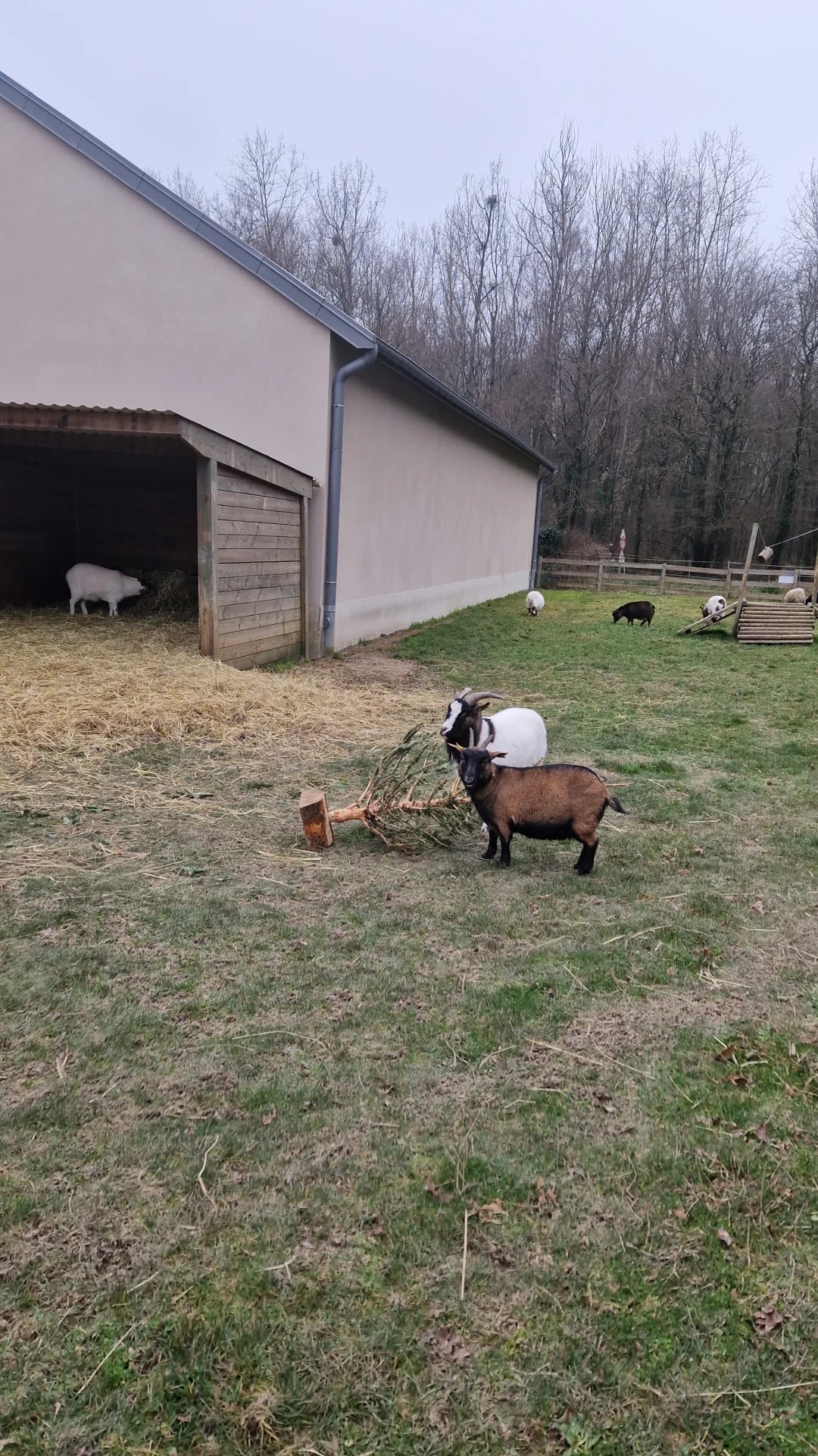 Photo n° 2 de l'avis de Cecilia.a fait le 23/02/2024 à 23:12