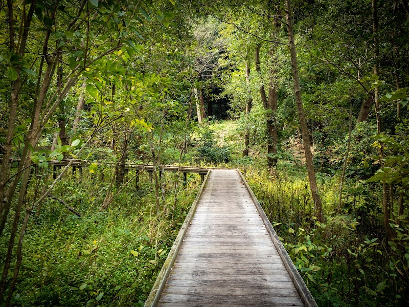 夫婦池公園