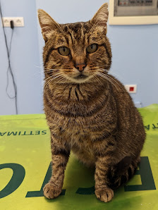 Ambulatorio Veterinario Bonati Chiocca Via Bertucci, 72, 19020 Brugnato SP, Italia