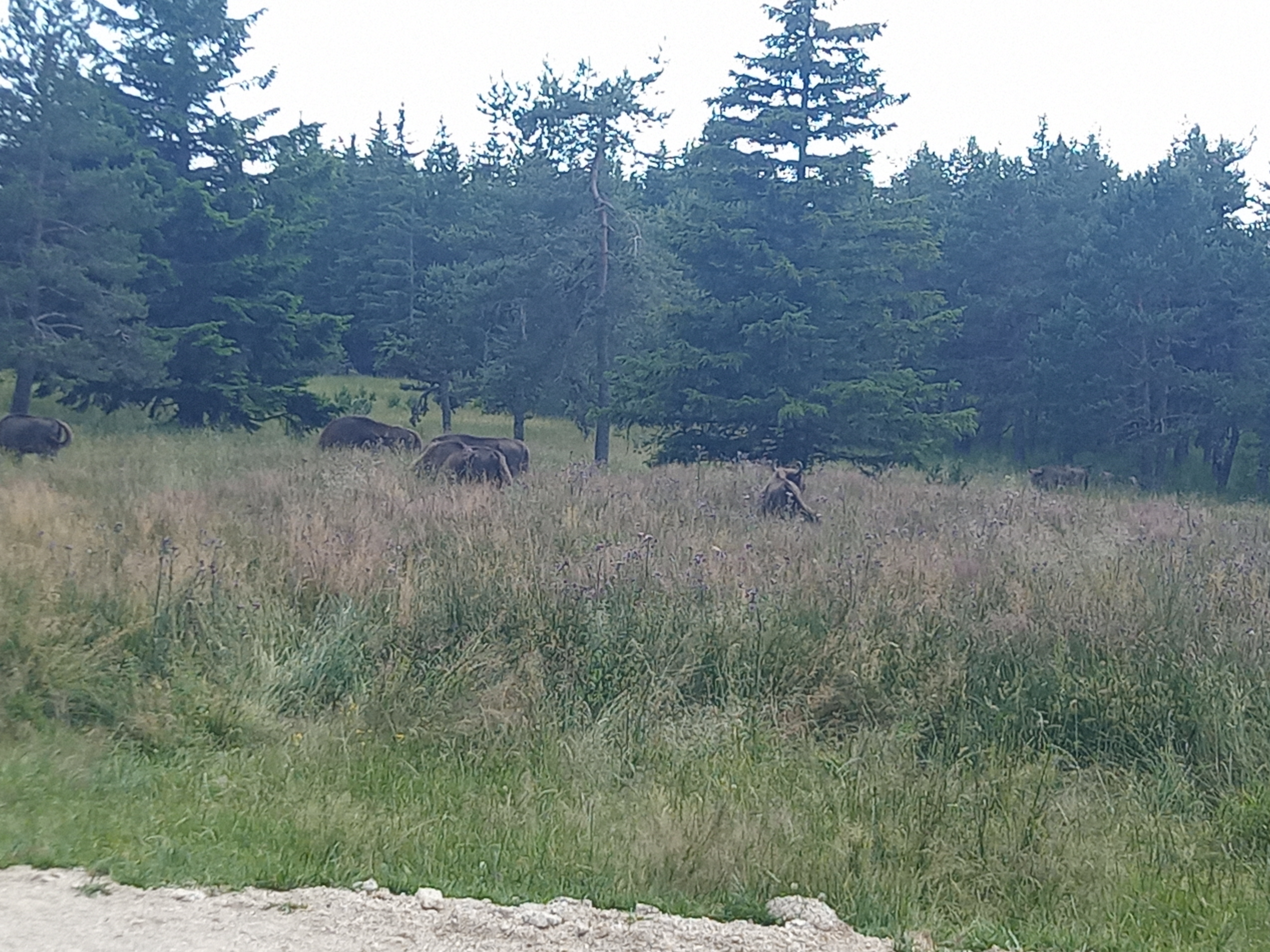 Photo n° 3 de l'avis de Julie.a fait le 16/07/2023 à 15:48