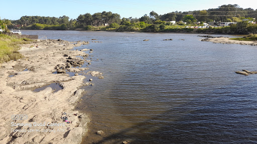 AF1QipPDNfPq5NHcTnbF 6UDQNvYWWy4PwVyDL6jGiVd