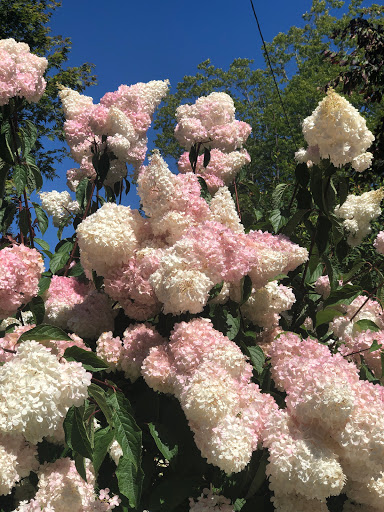 Park «McCollum Park», reviews and photos, 600 128th St SE, Everett, WA 98208, USA