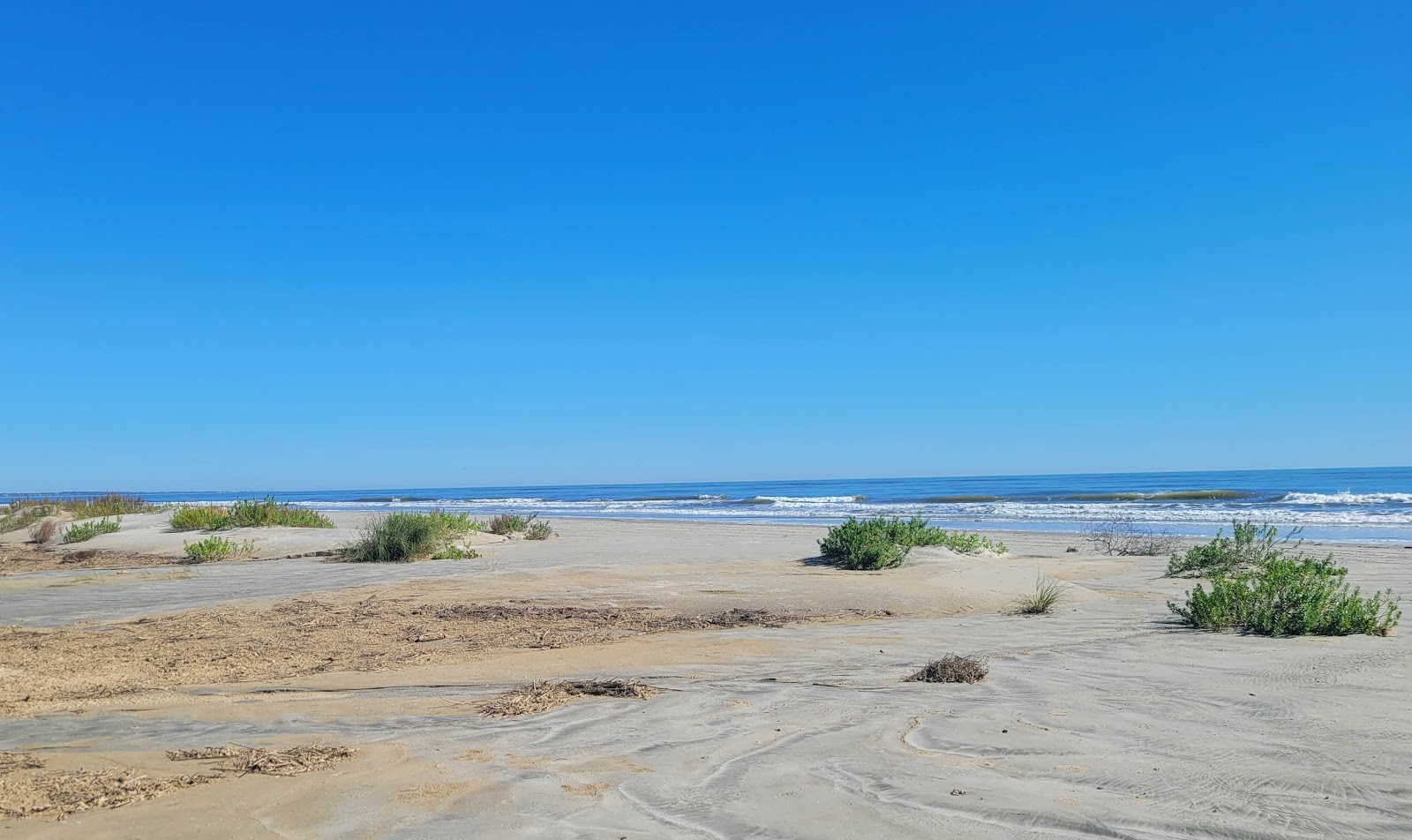 Seabrook Island beach的照片 带有碧绿色水表面