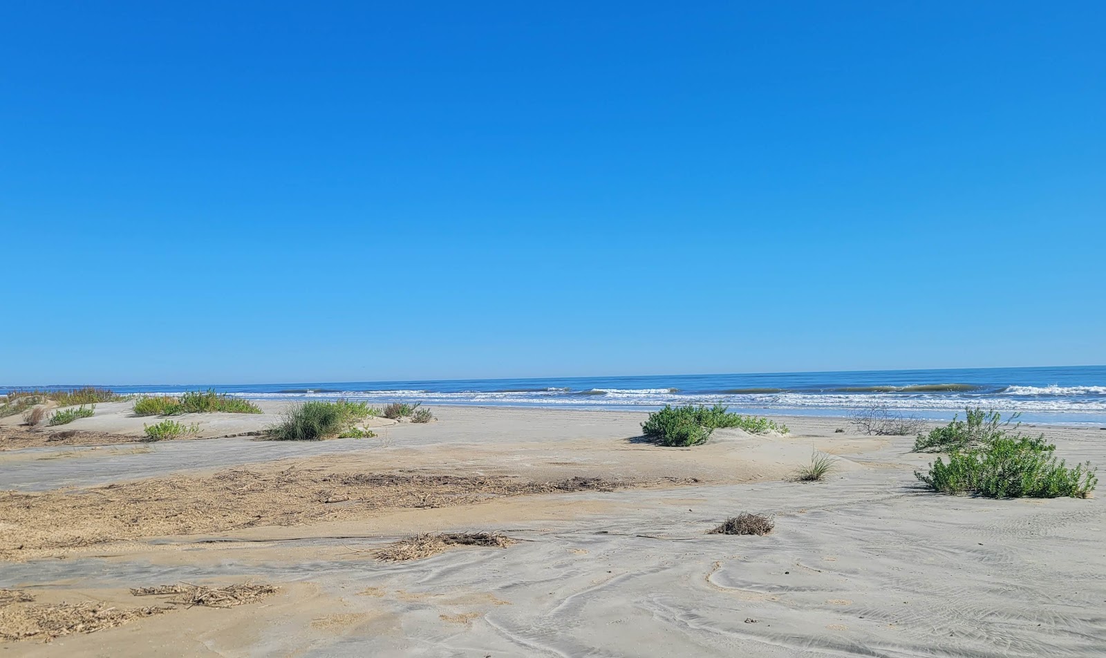 Photo de Seabrook Island beach avec rivage droit, long