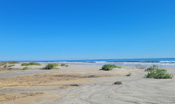 Seabrook Island beach'in fotoğrafı düz ve uzun ile birlikte