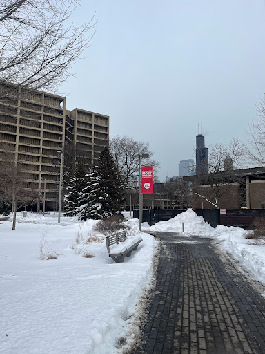 Public University «University of Illinois at Chicago», reviews and photos