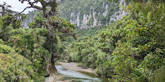 Paparoa National Park