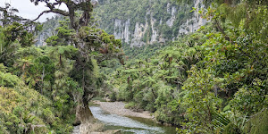Paparoa National Park