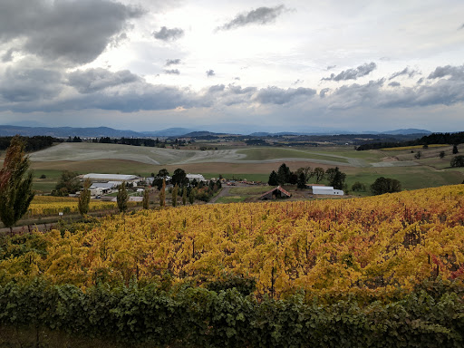 Winery «Lenne», reviews and photos, 18760 NE Laughlin Rd, Yamhill, OR 97148, USA