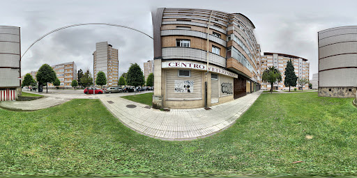 Villa de Gijon Centro Veterinario, S.l. en Gijón