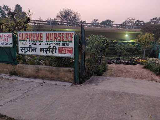 Supreme Nursery