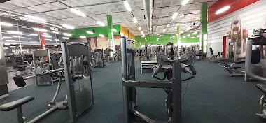 Rajin Ramdin Biokinetics