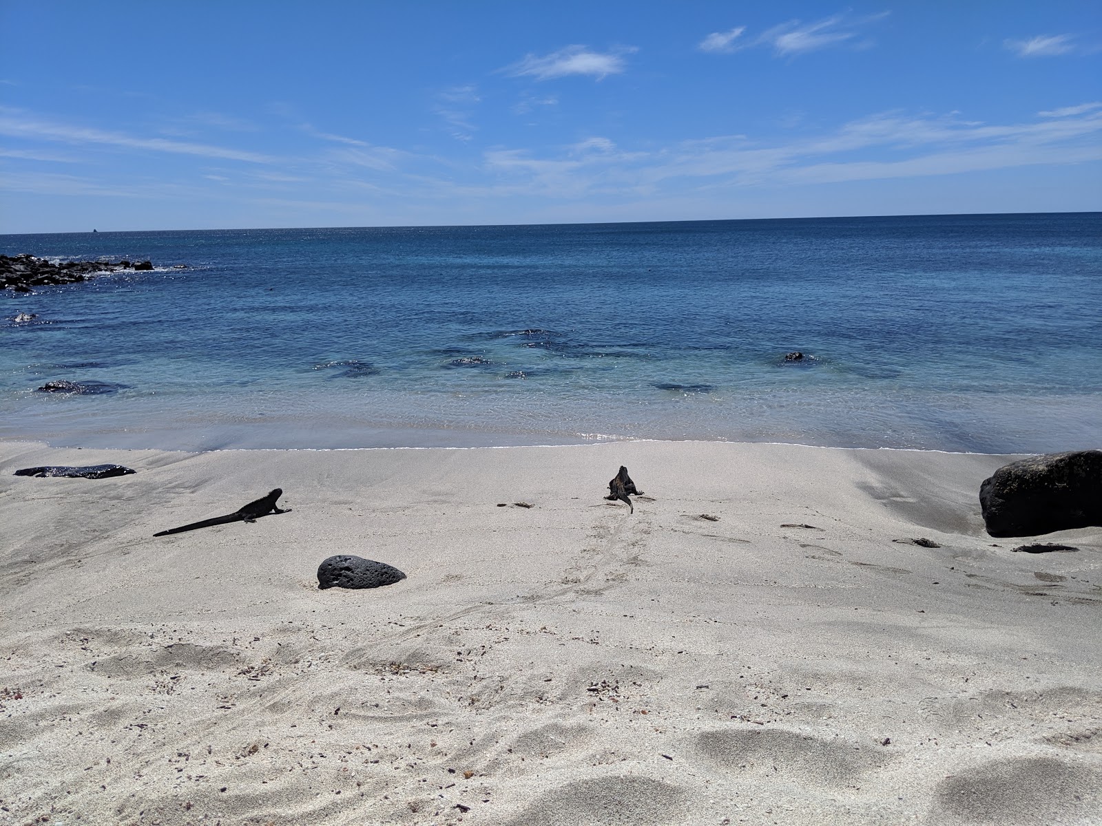 Foto di Playa Baquerizo con una superficie del acqua cristallina