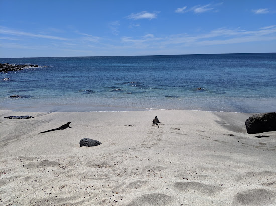 Playa Baquerizo