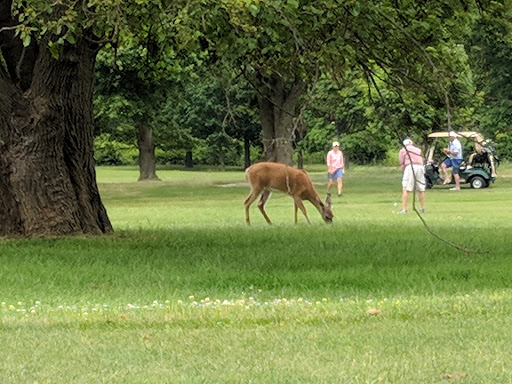 Country Club «Old Orchard Country Club», reviews and photos, 54 Monmouth Rd, Eatontown, NJ 07724, USA