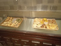 鎌倉パスタ 大阪東住吉店