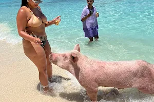 Da Pig Beach Nassau Bahamas (Departures only) image