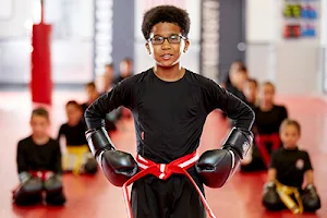 Tiger Schulmann's Martial Arts (Bayside, NY) image