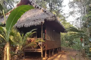 Anaconda Jungle Lodge image