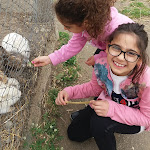 Photo n°1 de l'avis de Cinzia.G fait le 14/07/2019 à 07:41 sur le  La Fattoria di Valentino à Frattocchie