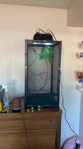 Pet Supply Store «PetSmart», reviews and photos, 4230 Pueblo Fwy, Pueblo, CO 81008, USA