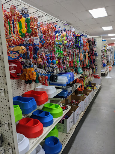 Clothing Store «Discount Madness», reviews and photos, 44 Bridge St, Pelham, NH 03076, USA