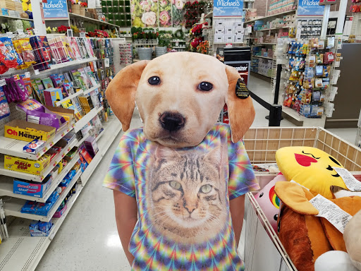 Craft Store «Michaels», reviews and photos, 7668 S Campus View Dr, West Jordan, UT 84084, USA