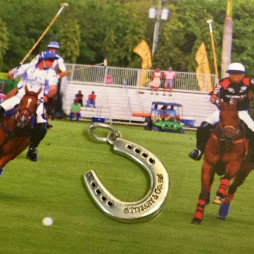 Pawn Shop «Prestige Pawn & Jewelry - Gold & Silver Dealer», reviews and photos, 360 W Indiantown Rd, Jupiter, FL 33458, USA