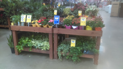 Home Improvement Store «The Home Depot», reviews and photos, 1213 VFW Pkwy, West Roxbury, MA 02132, USA